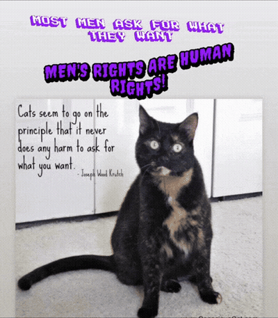 Cat With Quote About Men's Rights GIF