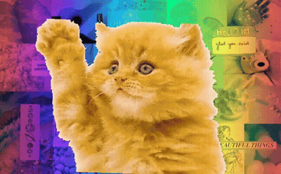 Cat With Rainbow Background And Hello I'm Sign GIF