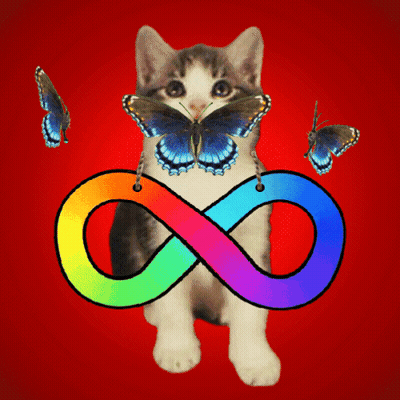 Cat With Rainbow Infinity And Butterflies GIF