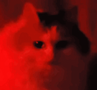 Cat With Red Eyes In Dark Room GIF
