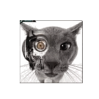 Cat With Robotic Eye Sticker