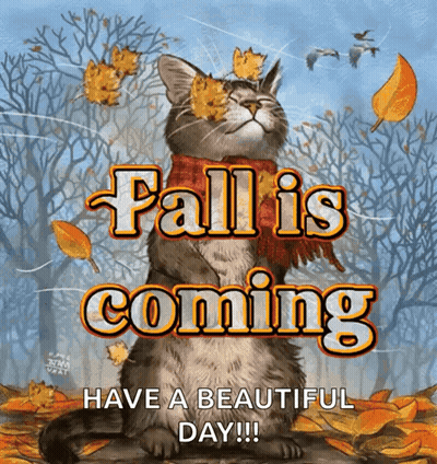 Cat With Scarf Saying Fall Is Coming Surrounded By Leaves GIF