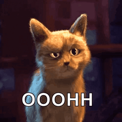 Cat With Serious Look Saying Ooohh GIF