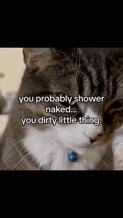 Cat With Shower Naked Caption GIF