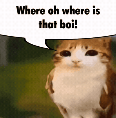Cat With Speech Bubble Where Oh Where Is That Boi GIF