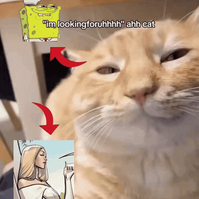Cat With SpongeBob Sticker Saying I'm Looking Foruhhh GIF