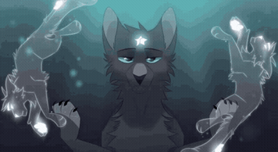Cat With Star On Head GIF