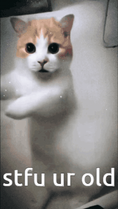 Cat With Stfu Ur Old