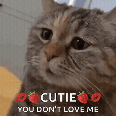 Cat With Strawberry Kisses Saying Cutie You Don't Love Me GIF