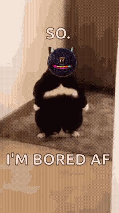 Cat With Stuffed Animal On Head Saying So I'm Bored Af GIF