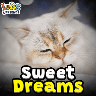 Cat With Sweet Dreams GIF