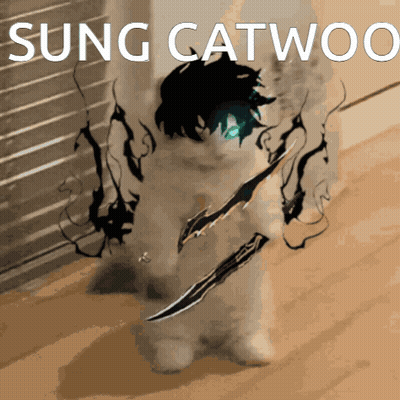Cat With Sword Singing Catwoo GIF