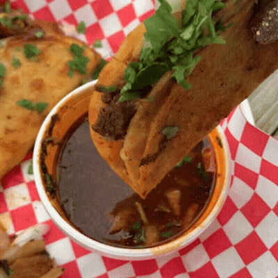 Cat With Taco On Top GIF