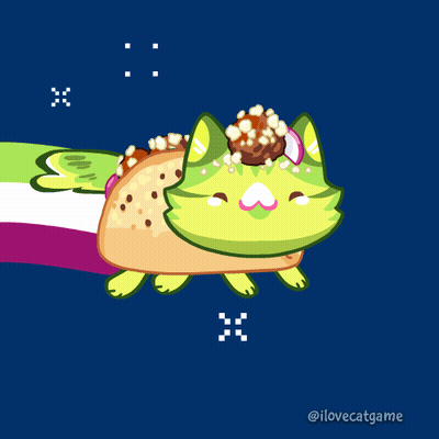 Cat With Taco On Top GIF