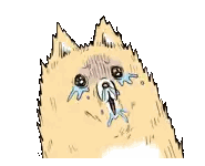 Cat With Tears Sticker