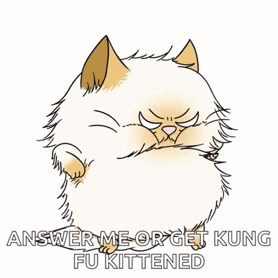 Cat With Text Answer Me Or Get Kung Fu Kittened GIF