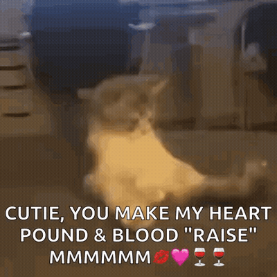 Cat With Text Cutie You Make My Heart Pound & Blood Raise GIF