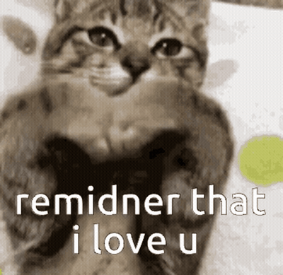 Cat With Text Reminer That I Love U GIF