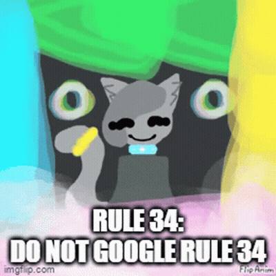 Cat With Text Rule 34 Do Not Google GIF