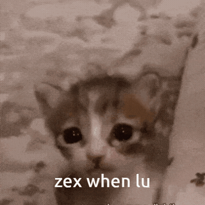 Cat With Text Zex When Lu GIF
