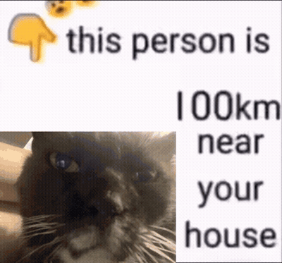 Cat With 'This Person Is 100Km Near Your House GIF