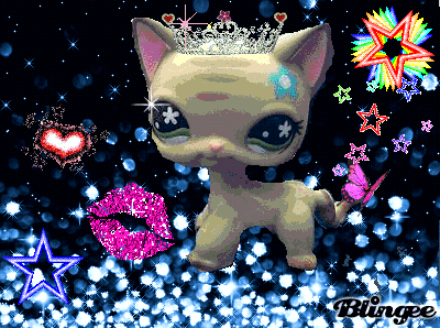 Cat With Tiara Surrounded By Glitter And Stars GIF