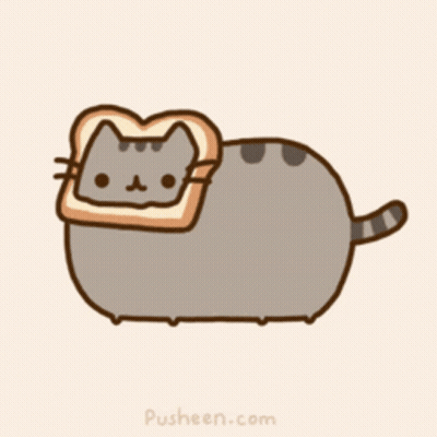 Cat With Toast on Head