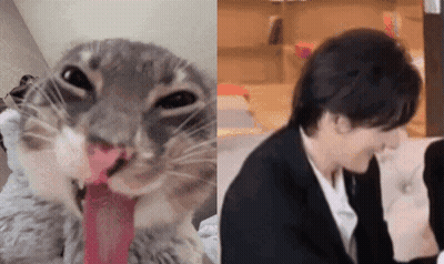 Cat With Tongue Hanging Out Next To Man GIF