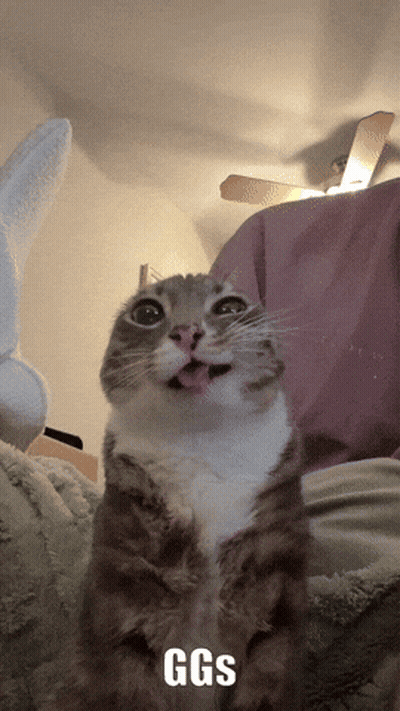 Cat With Tongue Hanging Out Saying Ggs GIF