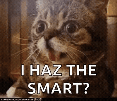 Cat With Tongue Hanging Out Says I Haz The Smart GIF