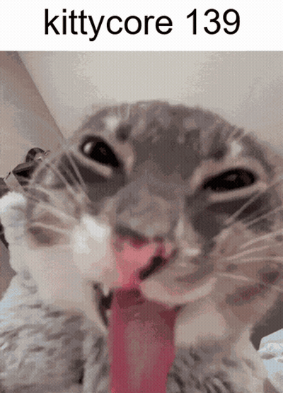 Cat With Tongue Out And Kittycore 139 GIF
