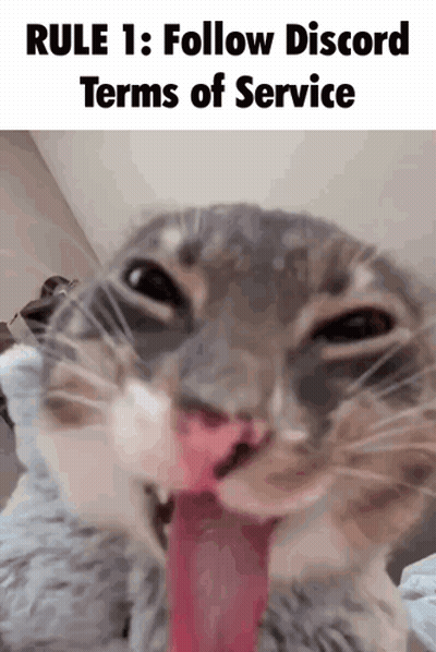 Cat With Tongue Out And Rule 1 Text GIF