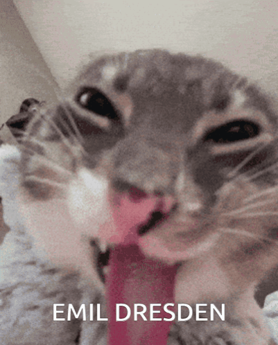 Cat With Tongue Out Emil Dresden GIF