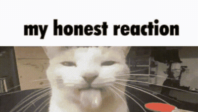 Cat With Tongue Out Saying My Honest Reaction GIF