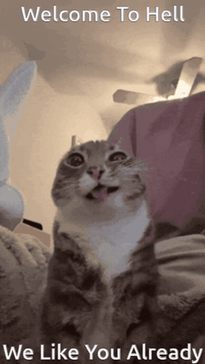 Cat With Tongue Out Welcome To Hell We Like You Already GIF