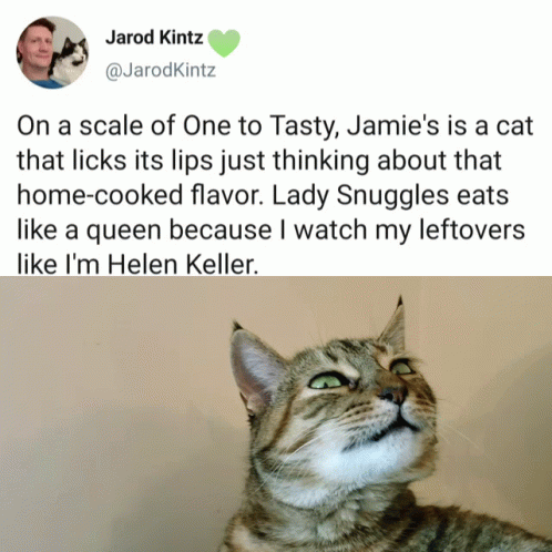 Cat With Tweet On a Scale of One to Tasty