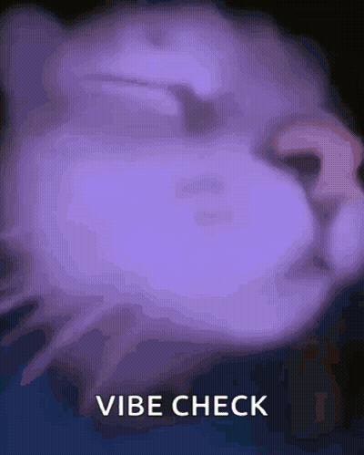 Cat With Vibe Check Text GIF