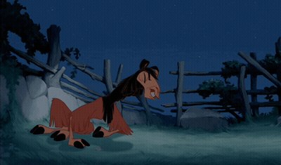 Cat With Vibe Check Text GIF