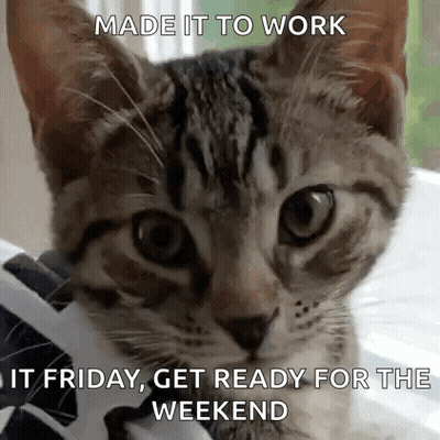 Cat With Weekend Ready Message GIF