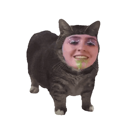 Cat With Woman's Face Sticker