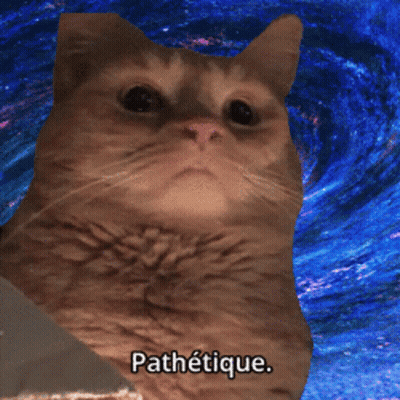Cat With Word Pathetique GIF