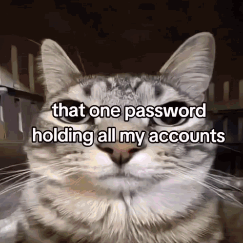 Cat With Words That One Password Holding All My Accounts GIF