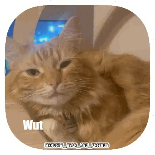 Cat With Wut In Corner Sticker