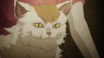 Cat With Yellow Eyes And Long Teeth GIF