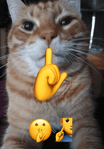 Cat With Yellow Finger Pointing To Mouth GIF