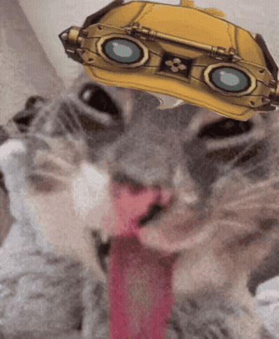 Cat With Yellow Helmet And Goggles GIF