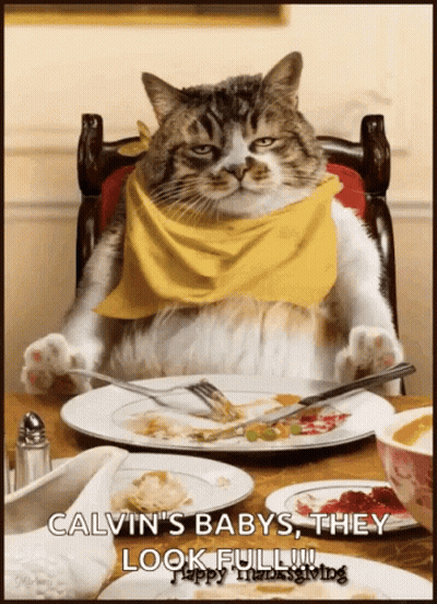 Cat With Yellow Scarf At Table With Food GIF