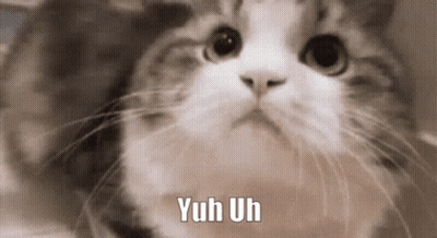 Cat With Yuh Uh Text GIF