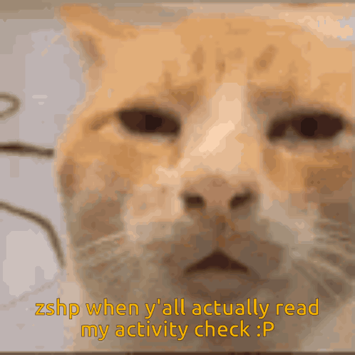 Cat With Zshp When Yall Actually Read My Activity Check GIF