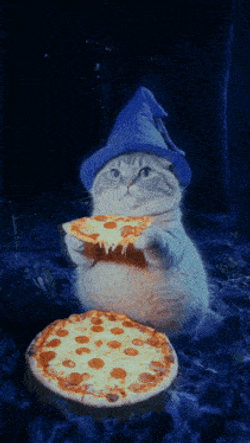 Cat Wizard Pizza GIF